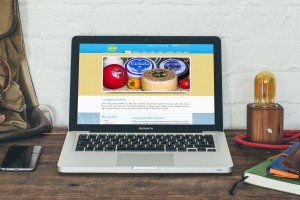 Création site web pour la société SOFAPL Marrakech