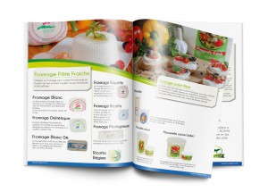 conception creation catalogue marrakech maroc